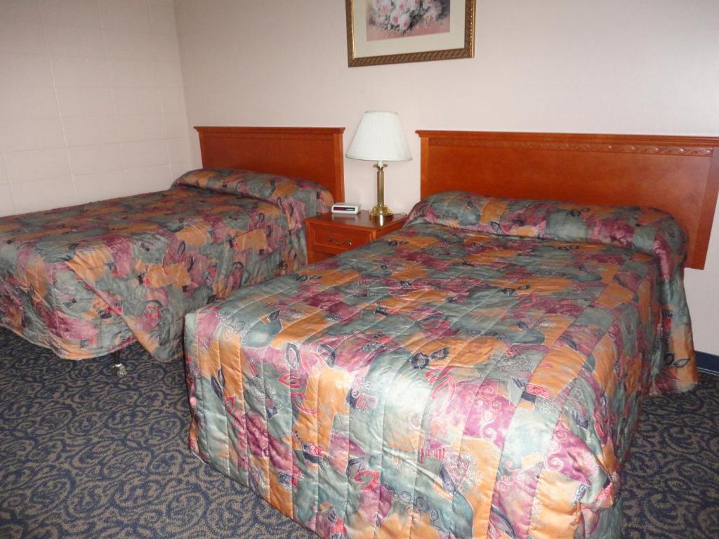 Matador Motel Drayton Valley Room photo